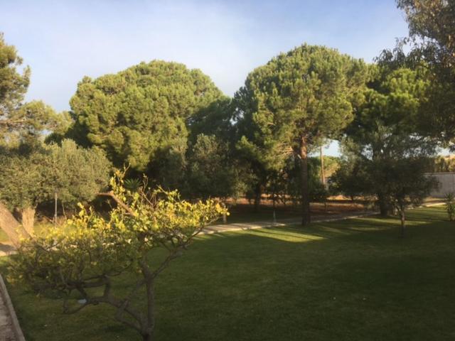 Villa Torrealta, 4000 M2 Cádiz Exteriér fotografie