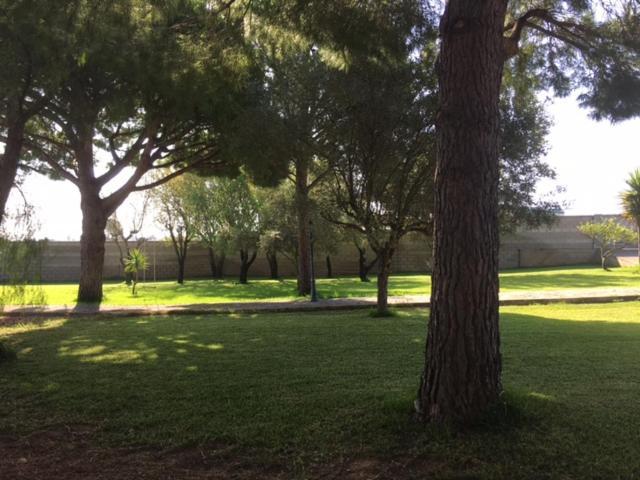 Villa Torrealta, 4000 M2 Cádiz Exteriér fotografie