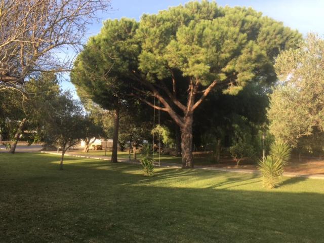 Villa Torrealta, 4000 M2 Cádiz Exteriér fotografie