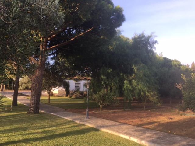 Villa Torrealta, 4000 M2 Cádiz Exteriér fotografie